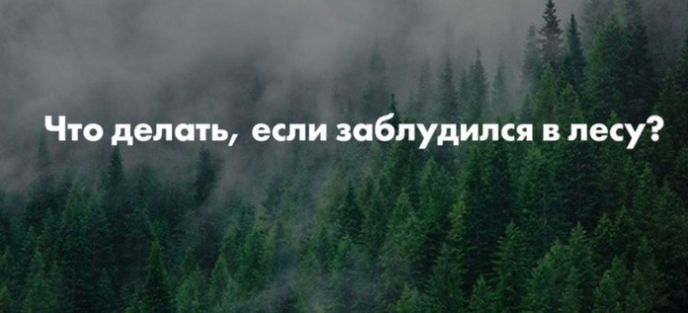 Памятка по безопасности. Памятка по безопасности.