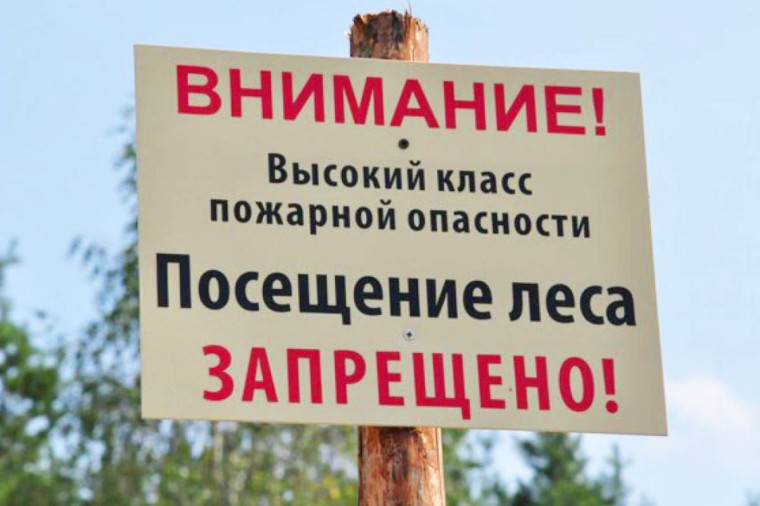 Внимание!. Внимание!.