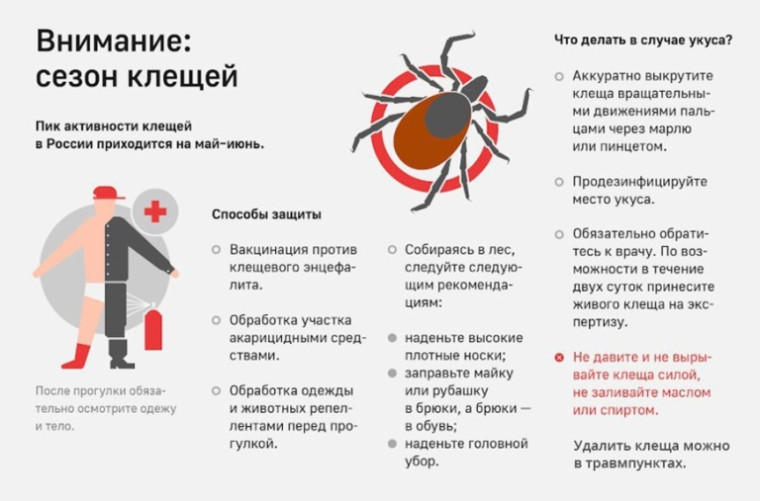 Памятка по безопасности. Памятка по безопасности.