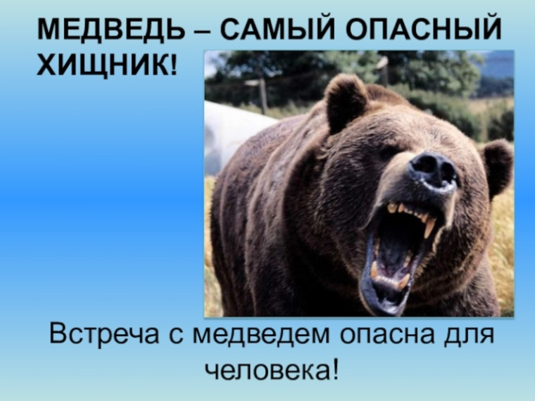 Памятка по безопасности. Памятка по безопасности.