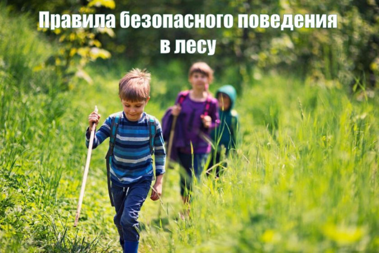 Памятка по безопасности. Памятка по безопасности.