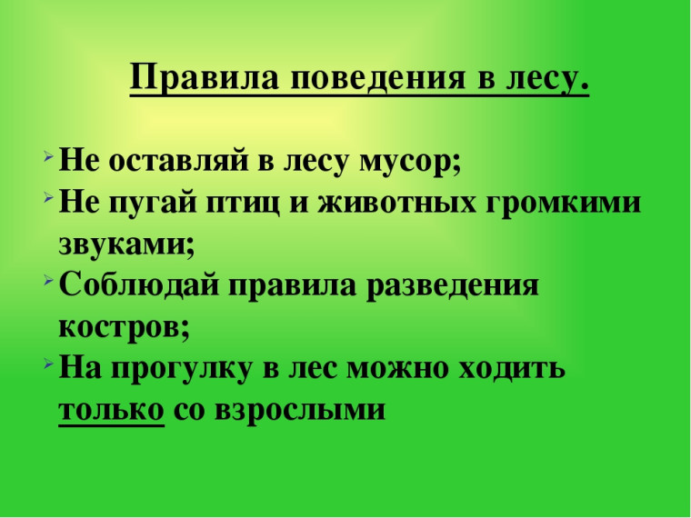 Памятка по безопасности. Памятка по безопасности.