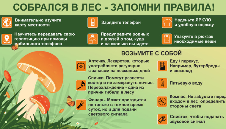 Памятка по безопасности. Памятка по безопасности.