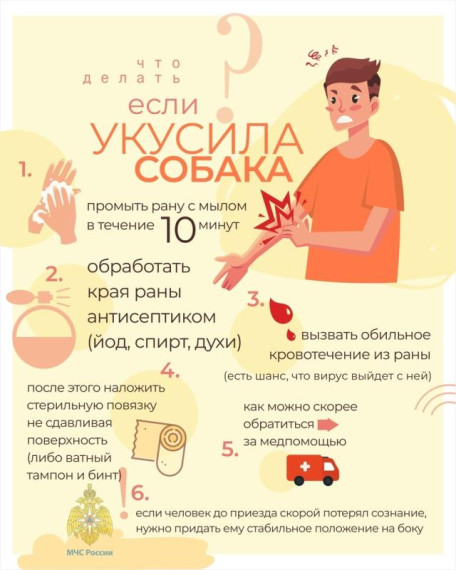 Памятка по безопасности. Памятка по безопасности.