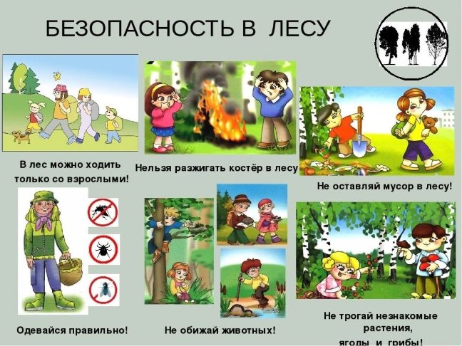 Памятка по безопасности. Памятка по безопасности.