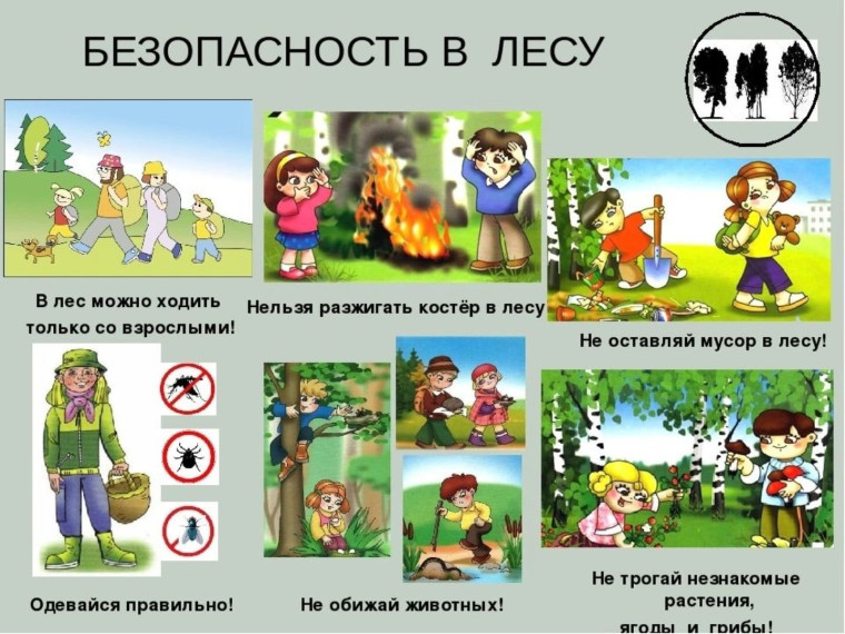 Памятка по безопасности. Памятка по безопасности.
