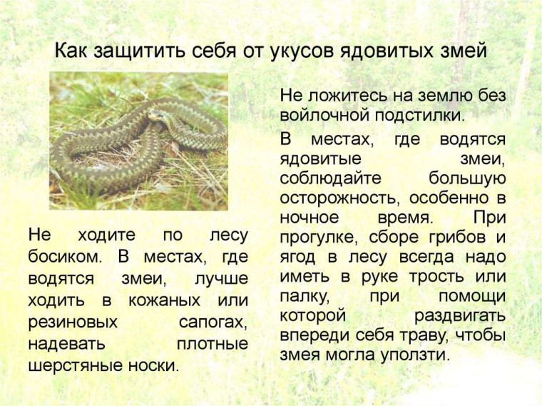 Памятка по безопасности. Памятка по безопасности.