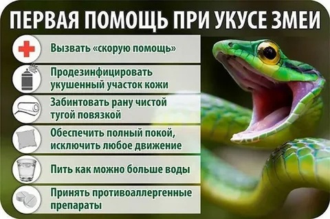 Памятка по безопасности. Памятка по безопасности.