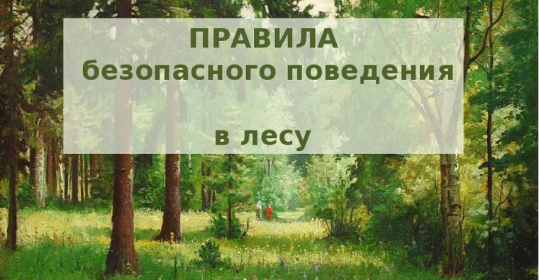 Памятка по безопасности. Памятка по безопасности.