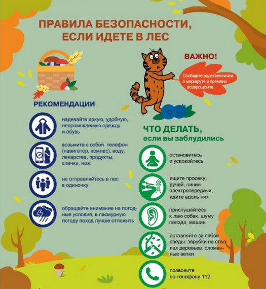 Памятка по безопасности. Памятка по безопасности.