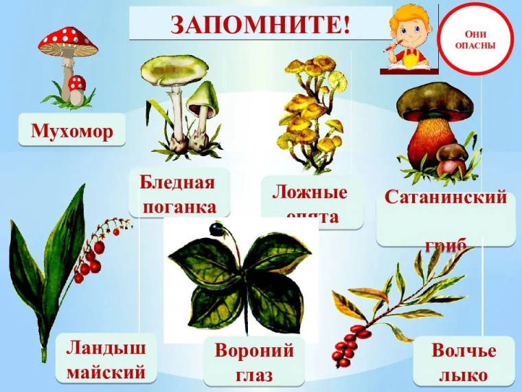 Памятка по безопасности. Памятка по безопасности.