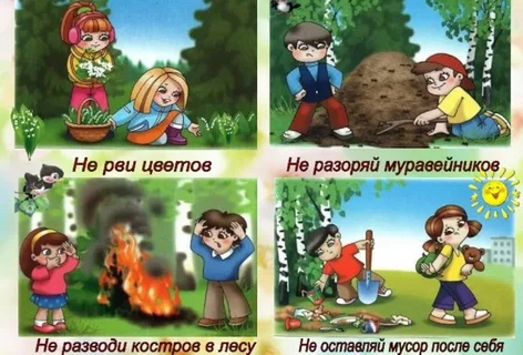 Правила поведения на природе и в лесу. Правила поведения на природе и в лесу.