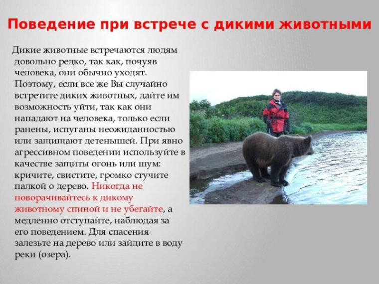 Памятка по безопасности. Памятка по безопасности.