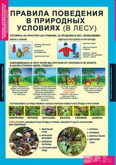 Памятка для тех, кто идет в лес. Памятка для тех, кто идет в лес.