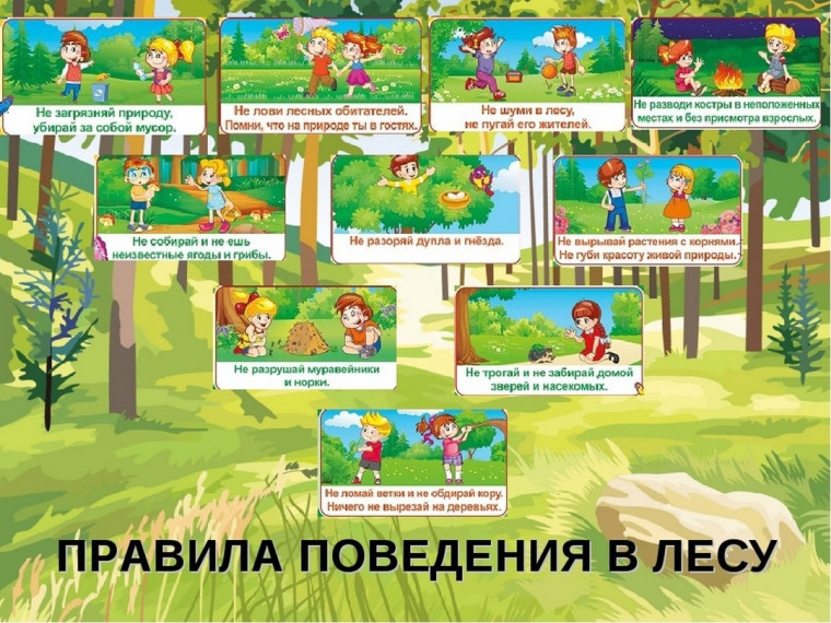 Памятка по безопасности. Памятка по безопасности.