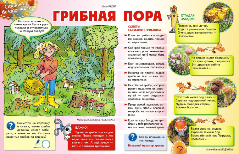 Памятка по безопасности. Памятка по безопасности.