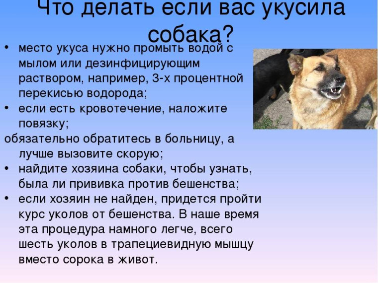 Памятка по безопасности. Памятка по безопасности.