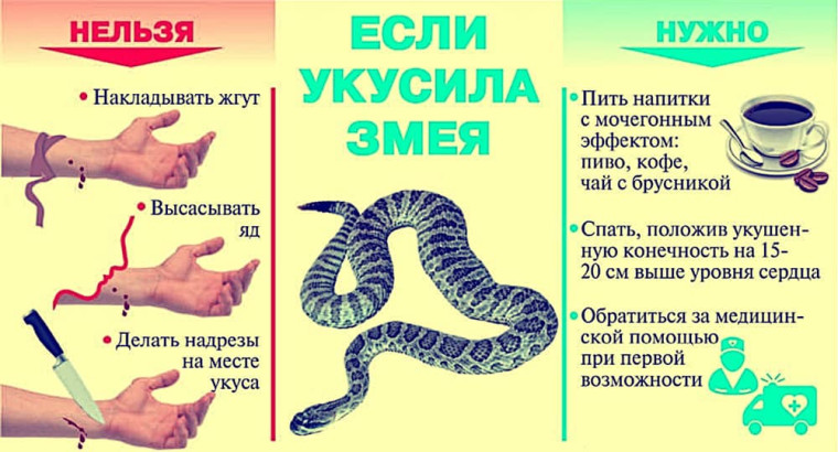 Памятка по безопасности. Памятка по безопасности.