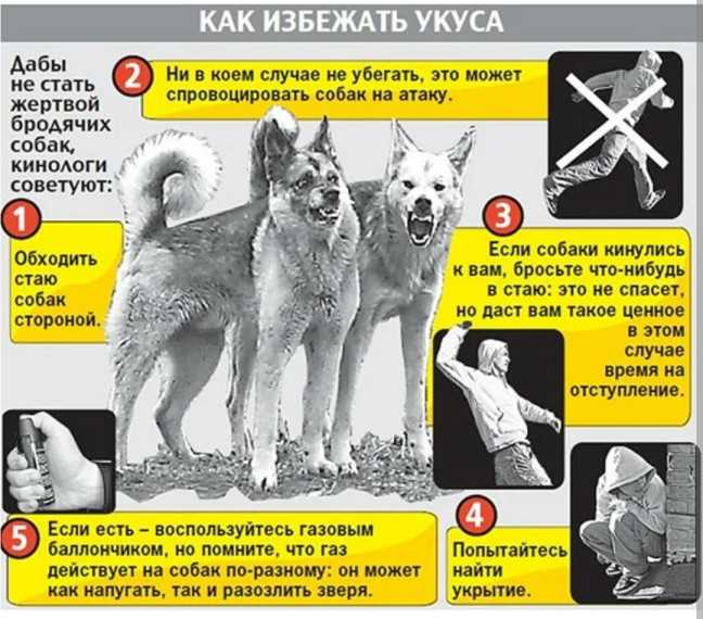 Памятка по безопасности. Памятка по безопасности.