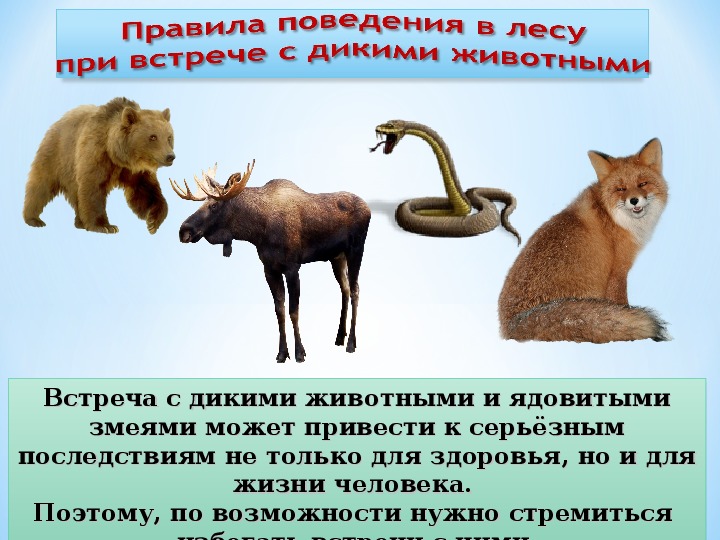 Памятка по безопасности. Памятка по безопасности.
