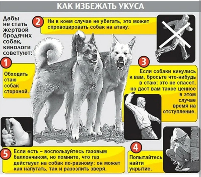 Памятка по безопасности. Памятка по безопасности.