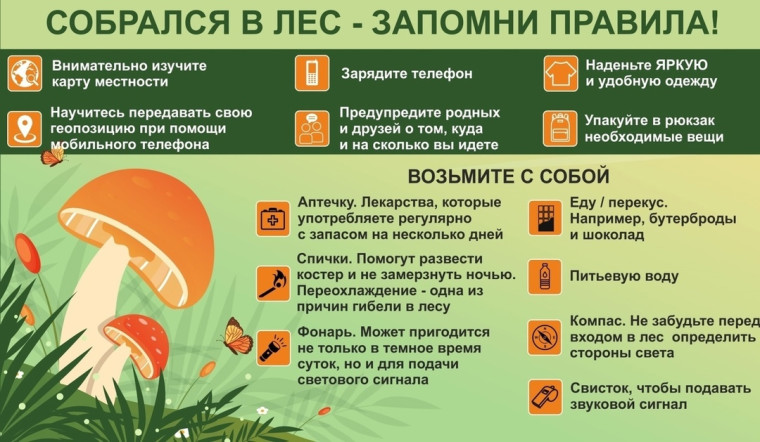 Памятка по безопасности. Памятка по безопасности.