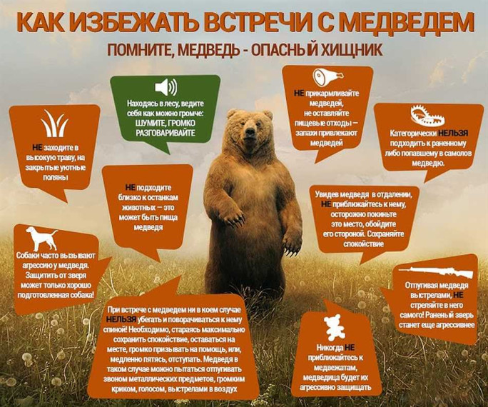 Памятка по безопасности. Памятка по безопасности.