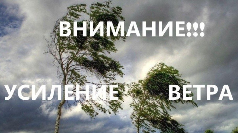 Внимание!. Внимание!.