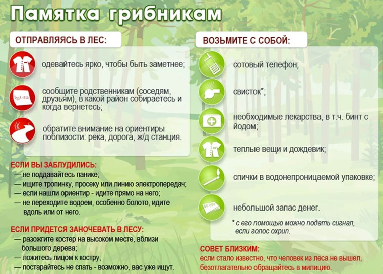 Памятка по безопасности. Памятка по безопасности.