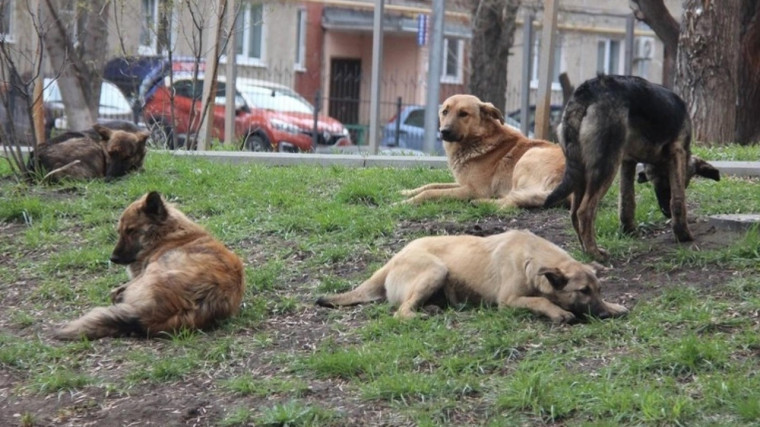 Памятка по безопасности. Памятка по безопасности.