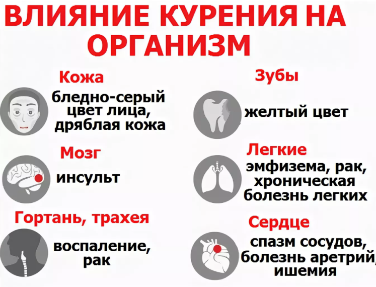 Памятка по безопасности. Памятка по безопасности.