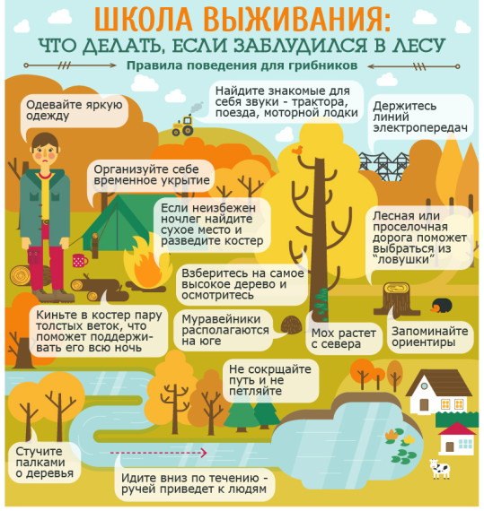 Памятка по безопасности. Памятка по безопасности.