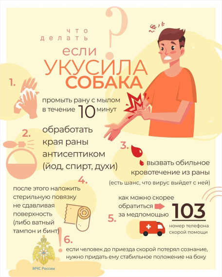 Памятка по безопасности. Памятка по безопасности.