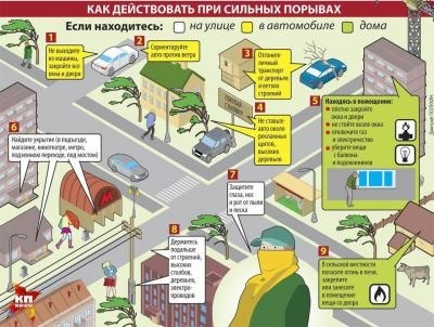 Правила поведения при сильном ветре. Правила поведения при сильном ветре.