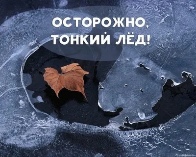 Памятка по безопасности. Памятка по безопасности.