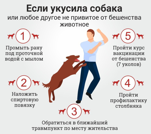 Памятка. Памятка.