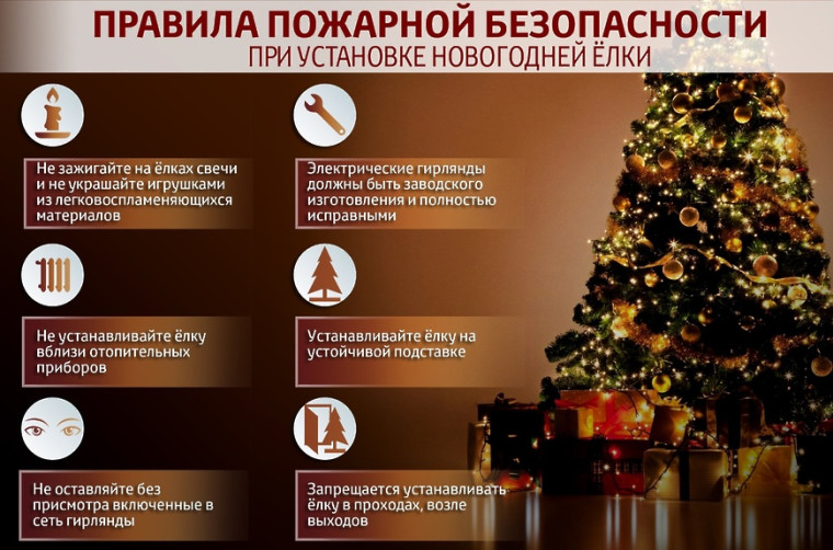 Меры безопасности при установке новогодней ели. Меры безопасности при установке новогодней ели.
