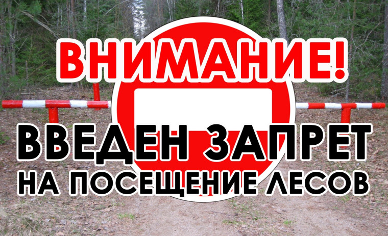 Внимание!. Внимание!.