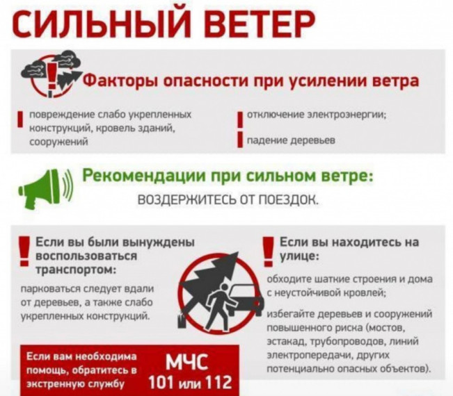 Правила поведения при сильном ветре. Правила поведения при сильном ветре.