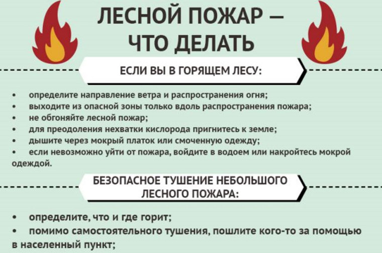 Как вести себя при лесном пожаре. Как вести себя при лесном пожаре.
