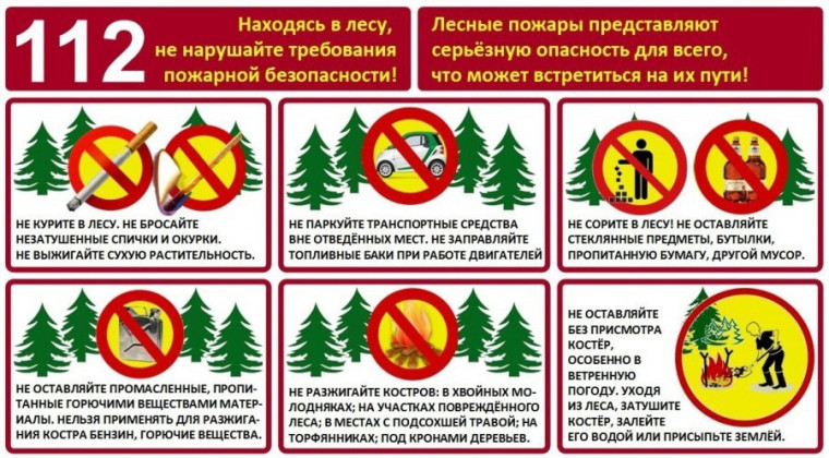 ПАМЯТКА ПРАВИЛА ПОЖАРНОЙ БЕЗОПАСНОСТИ ПРИ НАХОЖДЕНИИ В ЛЕСУ.. ПАМЯТКА ПРАВИЛА ПОЖАРНОЙ БЕЗОПАСНОСТИ ПРИ НАХОЖДЕНИИ В ЛЕСУ..