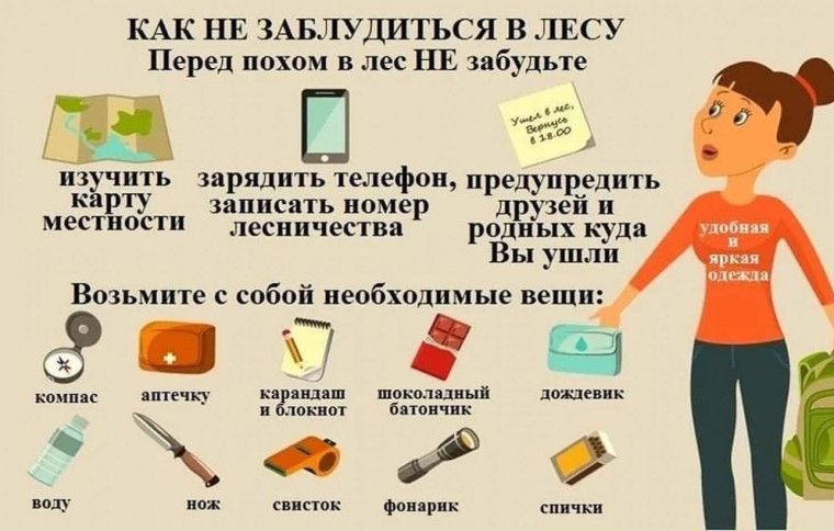 Как не заблудиться в лесу. Как не заблудиться в лесу.