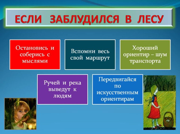 ЕСЛИ ВЫ ПОТЕРЯЛИСЬ В ЛЕСУ. ЕСЛИ ВЫ ПОТЕРЯЛИСЬ В ЛЕСУ.
