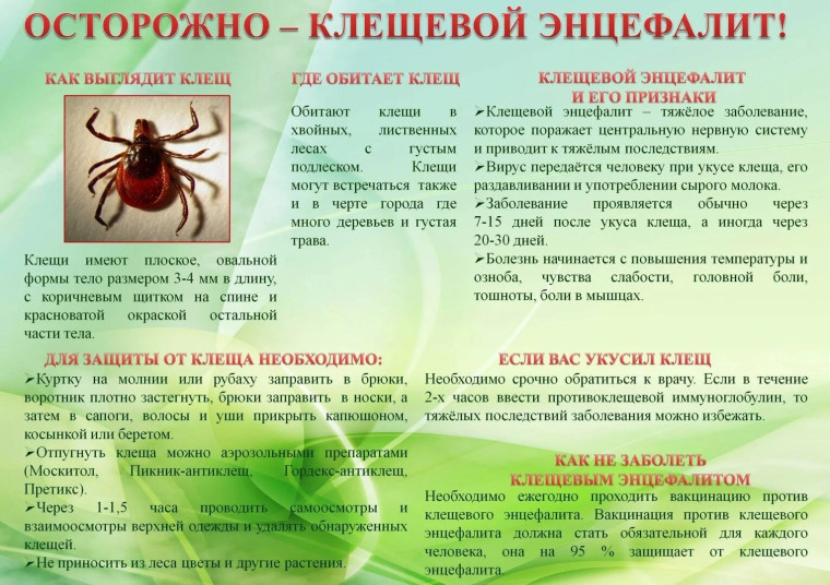🪲Как защитить ребенка от клещей. 🪲Как защитить ребенка от клещей.