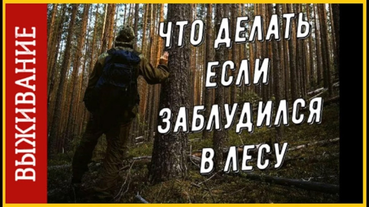 Лесник составил и испытал советы для заблудившихся в лесу.. Лесник составил и испытал советы для заблудившихся в лесу..