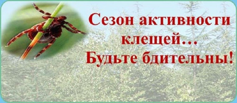 Клещи — одни из самых опасных переносчиков инфекций, активизирующихся в тёплое время года.. Клещи — одни из самых опасных переносчиков инфекций, активизирующихся в тёплое время года..