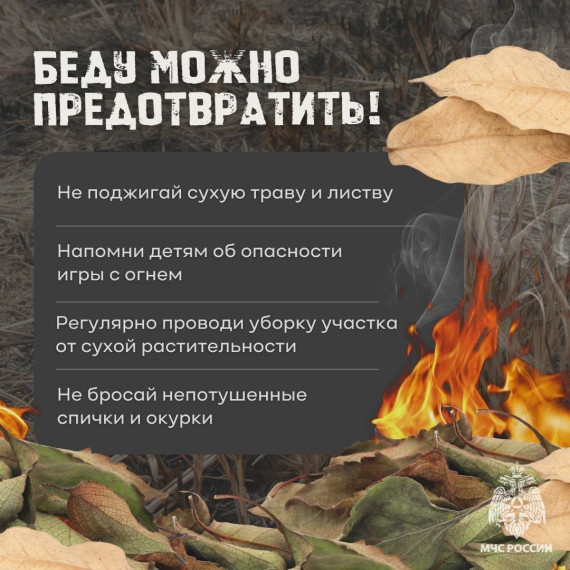 Особый противопожарный режим. Что можно и что нельзя. Особый противопожарный режим. Что можно и что нельзя.
