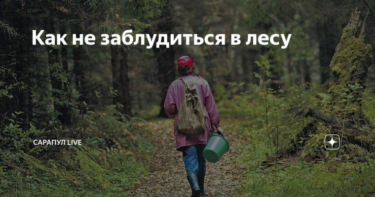 Заблудиться можно даже в знакомом лесу.. Заблудиться можно даже в знакомом лесу..