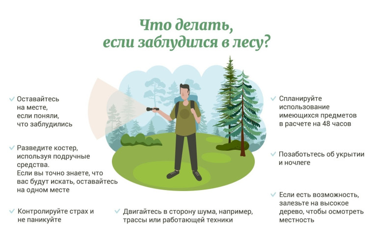 ЕСЛИ ВЫ ПОТЕРЯЛИСЬ В ЛЕСУ. ЕСЛИ ВЫ ПОТЕРЯЛИСЬ В ЛЕСУ.