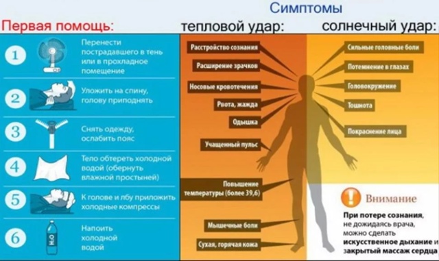 ПРАВИЛА ПЕРВОЙ ПОМОЩИ ПРИ ТЕПЛОВОМ ИЛИ СОЛНЕЧНОМ УДАРЕ. ПРАВИЛА ПЕРВОЙ ПОМОЩИ ПРИ ТЕПЛОВОМ ИЛИ СОЛНЕЧНОМ УДАРЕ.